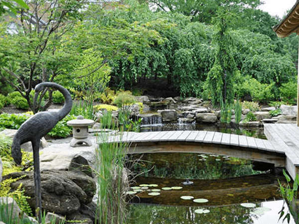 Landscaped Pond Design