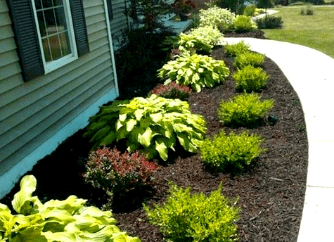 What Is Landscaping?